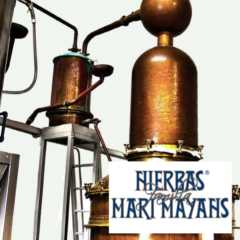 Mari Mayans Mari Mayans